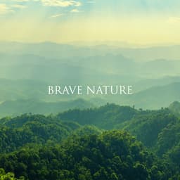 Brave Nature: Listen to Nature, Opening the Mind, Beautiful Sounds of Forest, Birds, Waves - Relaxing Nature Sounds Collection