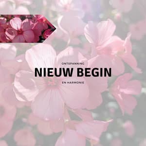 Nieuw Begin - Ontspanning en Harmonie