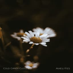 Cold Candy Clouds - Axelites