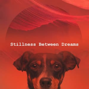 Stillness Between Dreams - Music For Your Dog