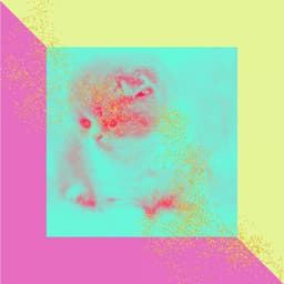 Echoes of Chilling Cats - Cat Music Studio