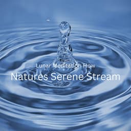 Lunar Meditation Flow: Natures Serene Stream - Sounds of the Jungle