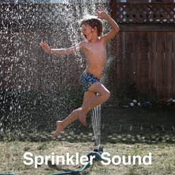 Sprinkler Sound - White Noise Collectors