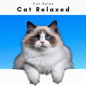 4 Cat Relaxed - Cat Relax