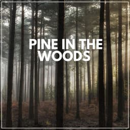 Pine in the Woods - Nature Soundscapes