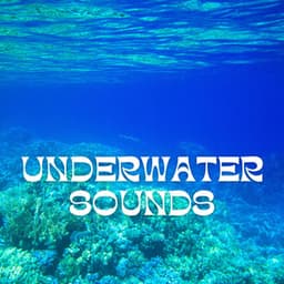 Underwater Sounds for Deep Relaxation - Underwater Sounds Channel