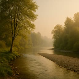 25 Calming Forest Sounds:Sleep in Nature - Baltic Nature Sounds