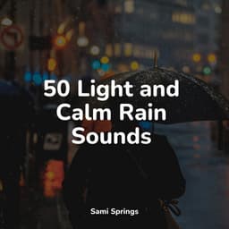 50 Light and Calm Rain Sounds - Rain Shower Spa