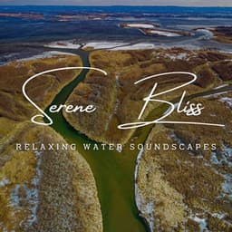 River of Serene Bliss: Relaxing Water Soundscapes - Brain Timbre