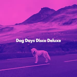 Dog Days Disco Deluxe - New Orleans Jazz Playlist