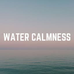 Water Calmness - Outdoor Field Recorders