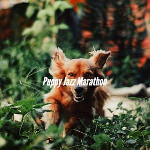 Puppy Jazz Marathon - Relaxing Dog Music Society