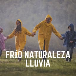 Frío Naturaleza Lluvia - Sonidos De Lluvia