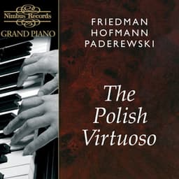 The Polish Virtuoso - Ignaz Friedman