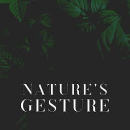 Nature's Gesture - Recording Nature