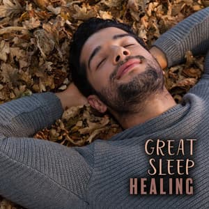 Great Sleep Healing: Instatnt Sleep Quality Booster - Restful Sleep Music Consort