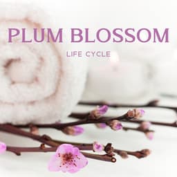 Plum Blossom Life Cycle - World of Spa Massages
