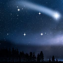 Nature's Symphony: Music for Babies in the Great Outdoors - Surrounding Life