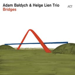 Bridges - Adam Baldych