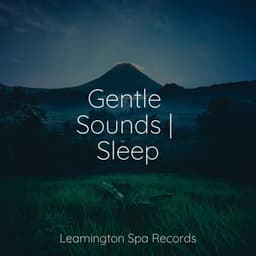 Gentle Sounds | Sleep - Sounds Of Rain & Thunder Storms
