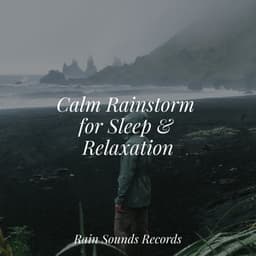Calm Rainstorm for Sleep & Relaxation - Sons da natureza HD