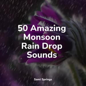 50 Amazing Monsoon Rain Drop Sounds - Sounds Of Nature: Thunderstorm