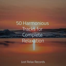 50 Harmonious Tracks for Complete Relaxation - Relajación