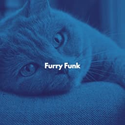 Furry Funk - Cat Relax