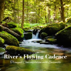 River's Flowing Cadence: Tranquil Contemplation with Ensemble - Water Spa