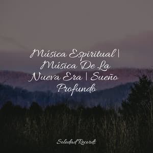 Música Espiritual | Música De La Nueva Era | Sueño Profundo - Meditación