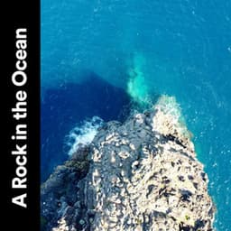 A Rock in the Ocean - Seas of Dreams
