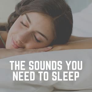 The Sounds You Need to Sleep - Brown Noise