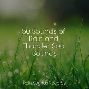 50 Sounds of Rain and Thunder Spa Sounds - Anxiety Relief