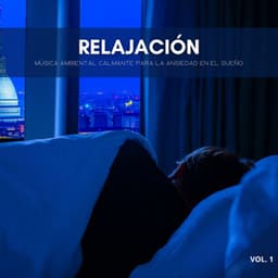 Relajación: Música Ambiental Calmante Para La Ansiedad En El Sueño Vol. 1 - Zona de Música Sexual