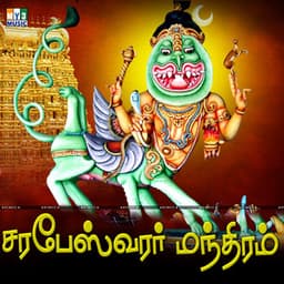 Sarabhesvaran Manthiram - Srinivas