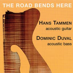 The Road Bends Here - Hans Tammen