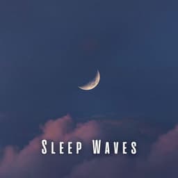 Sleep Waves: Relaxing Rain and White Noise for Restful Nights - Rain Drops for Sleep