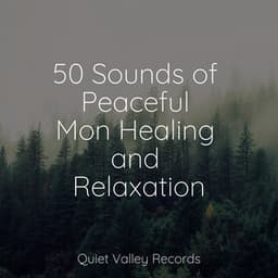 50 Sounds of Peaceful Mon Healing and Relaxation - Rain Sound Studio