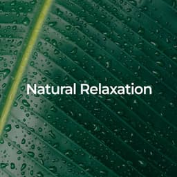 Natural Relaxation: Music and Sounds for Sleep - Natural Disasters