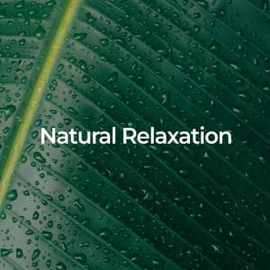 Natural Relaxation: Music and Sounds for Sleep - Natural Disasters