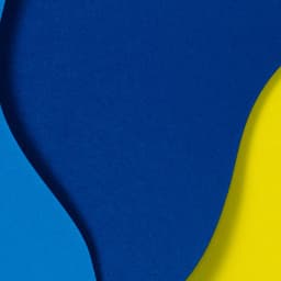 Hypnotic Jazz Violin - Ambiance for Peak Jazz Academies - Instrumental Jazz Musica Ambiental