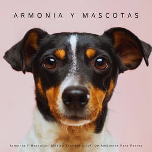 Armonia Y Mascotas: Música Tranquila Lofi De Ambiente Para Perros - Club de música Lofi