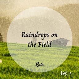 Rain: Raindrops on the Field Vol. 1 - Forest Rain FX