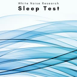A Sleep Test - White Noise Research