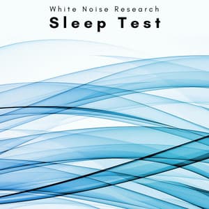 A Sleep Test - White Noise Research