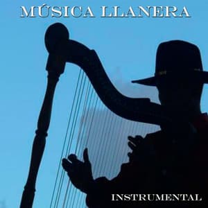 Música Llanera Instrumental - Grupo Excelsior