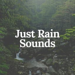 Just Rain Sounds - Rainfall