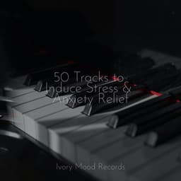 50 Tracks to Induce Stress & Anxiety Relief - Anxiety Relief