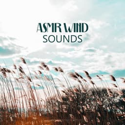 Breath of the Sky - Cynthia Gard