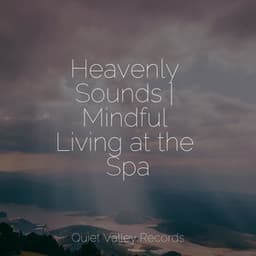 Heavenly Sounds | Mindful Living at the Spa - Sonidos de la Naturaleza